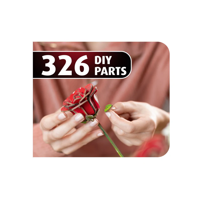 Dream of Roses, Houtbouw, Revell 00631