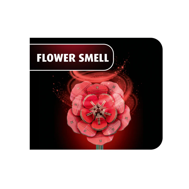 Dream of Roses, Houtbouw, Revell 00631