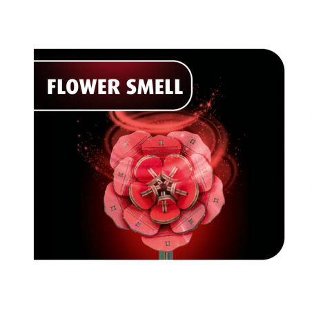 Dream of Roses, Houtbouw, Revell 00631