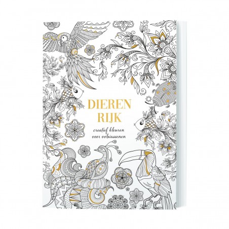 Dierenrijk kleurboek, Lantaarn