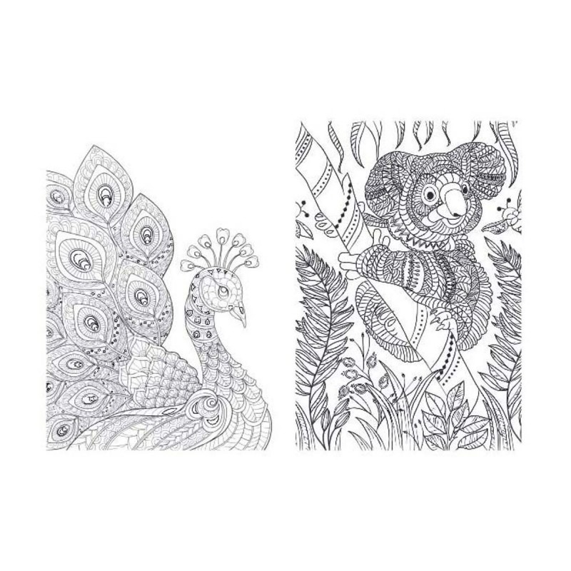 Dierenrijk kleurboek, Lantaarn