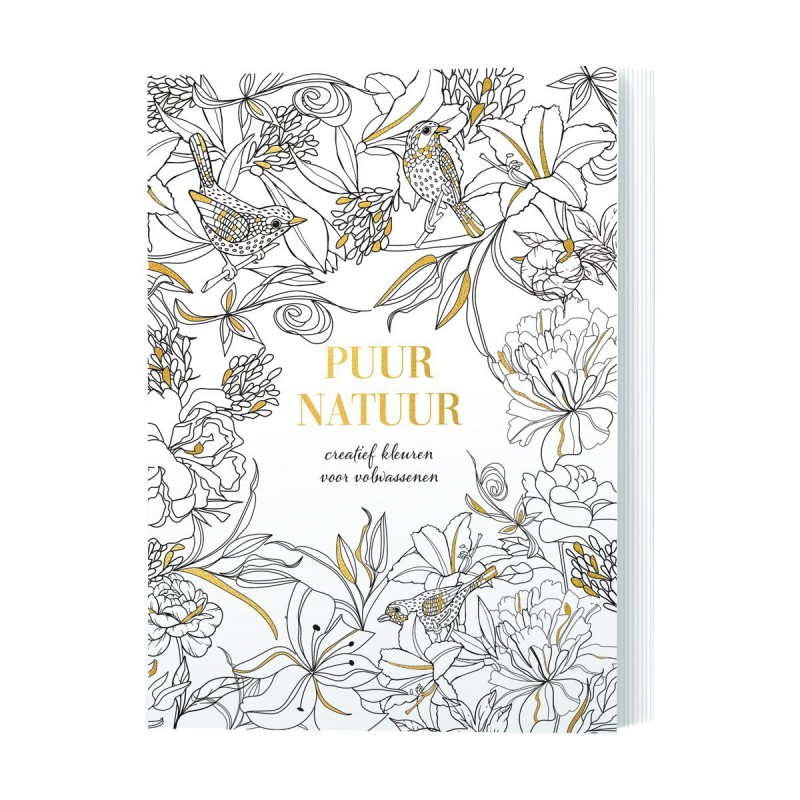Puur natuur kleurboek, Lantaarn