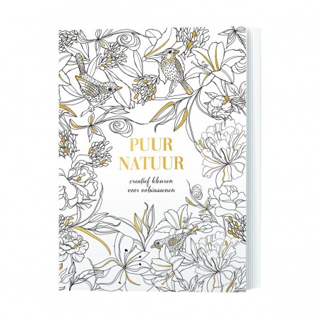 Puur natuur kleurboek, Lantaarn