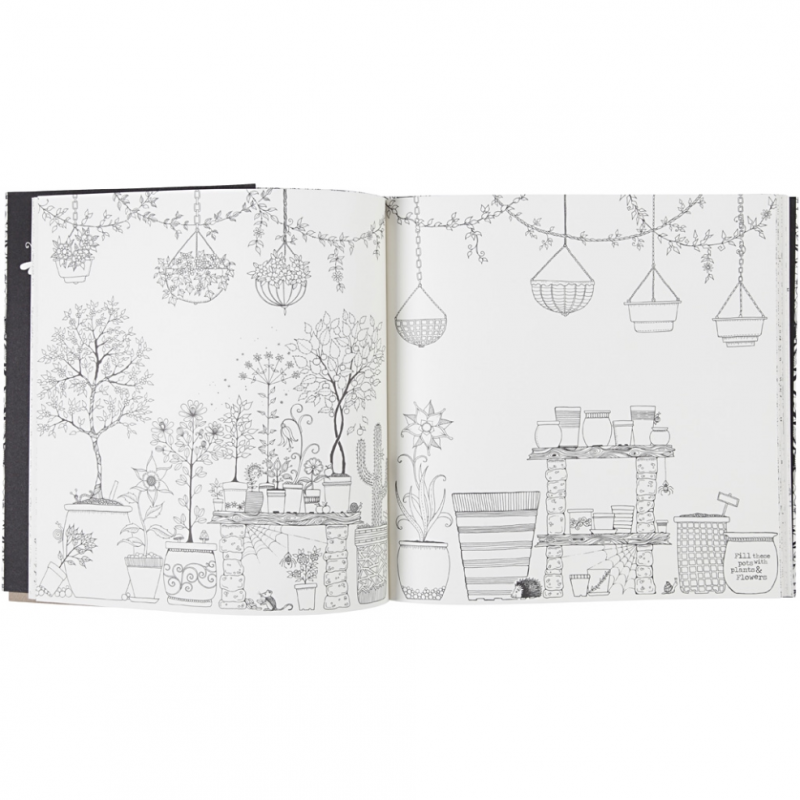 Johanna Basford, Mein geheimnisvoller Garten kleurboek