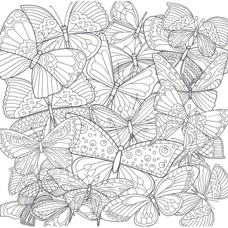 Mandalakunst: Natuur kleurboek, Lantaarn