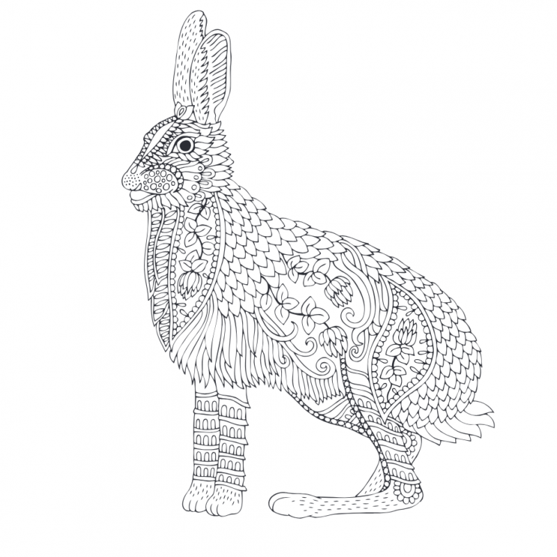 Mandalakunst: Frozen kleurboek, Lantaarn