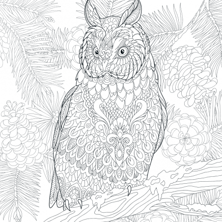 Mandalakunst: Frozen kleurboek, Lantaarn