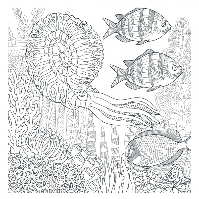 Mandalakunst: Oceaan kleurboek, Lantaarn