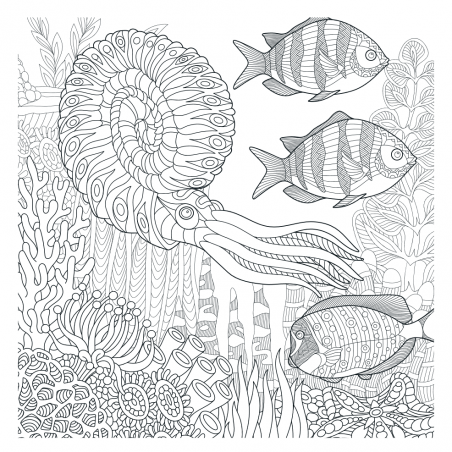 Mandalakunst: Oceaan kleurboek, Lantaarn