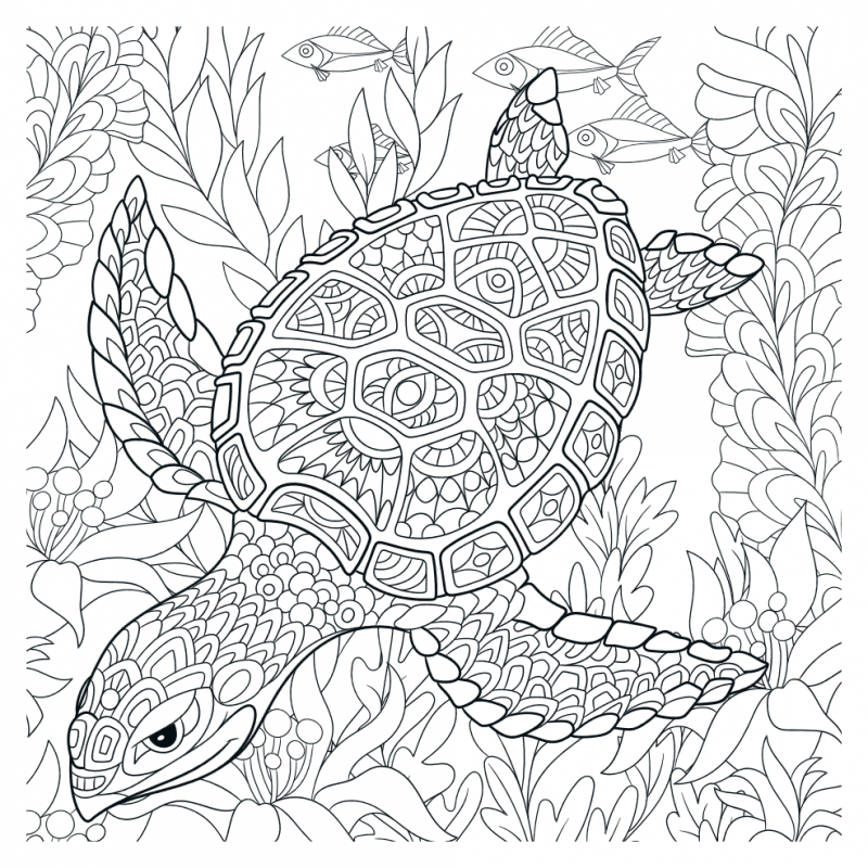 Mandalakunst: Oceaan kleurboek, Lantaarn