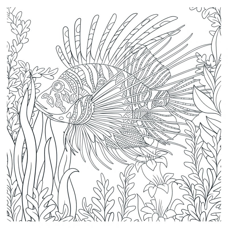 Mandalakunst: Oceaan kleurboek, Lantaarn