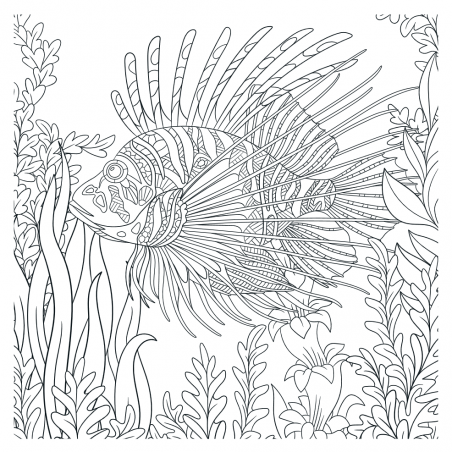 Mandalakunst: Oceaan kleurboek, Lantaarn