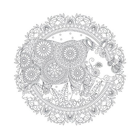 Mandalakunst: Amazing animals kleurboek, Lantaarn