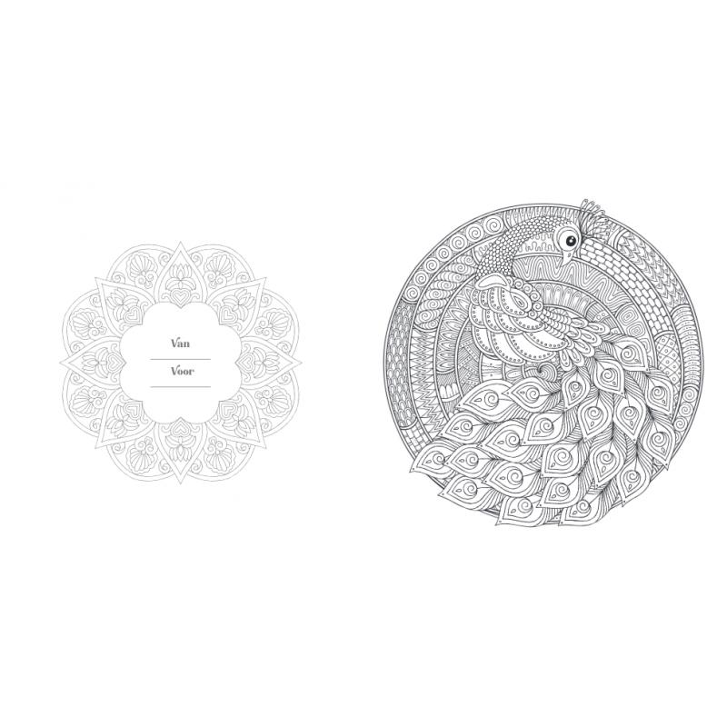 Creative moments: Nature & flowers mandala kleurboek, Lantaarn