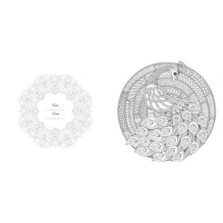 Creative moments: Nature & flowers mandala kleurboek, Lantaarn