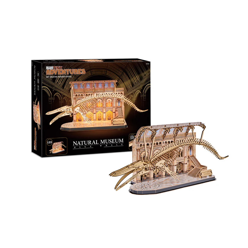 Natural Museum Blue Whale, Houtbouw, Revell