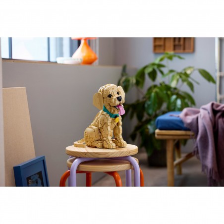 LEGO ICONS - 11384 Golden retriever puppy