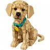 LEGO ICONS - 11384 Golden retriever puppy