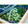 LEGO Art - 31220 Brug over een vijver met waterlelies, Monet
