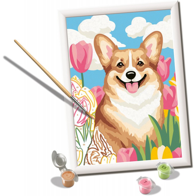 CreArt, Floral Corgi Schilderen op nummer, Ravensburger