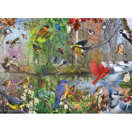 Birds of the season Cobble Hill 1000 stukjes