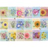 Seed packets Cobble Hill 500 XL stukjes