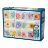 Seed packets, Cobble Hill 500 XL stukjes