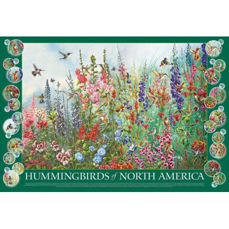 Hummingbirds of North America, Cobble Hill 2000 stukjes