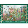 Hummingbirds of North America, Cobble Hill 2000 stukjes