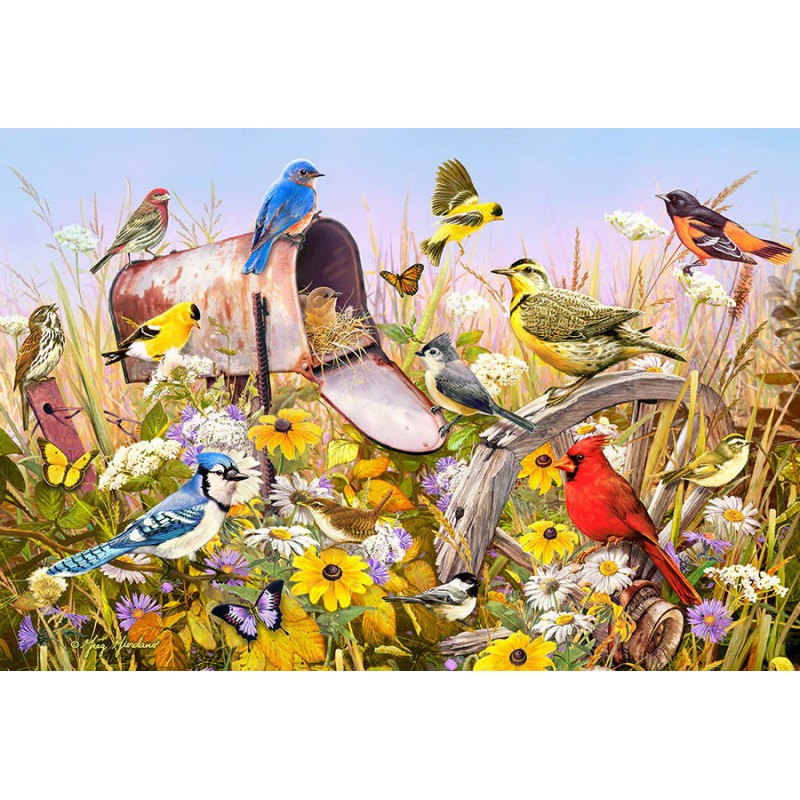 Field song, Cobble Hill 2000 stukjes