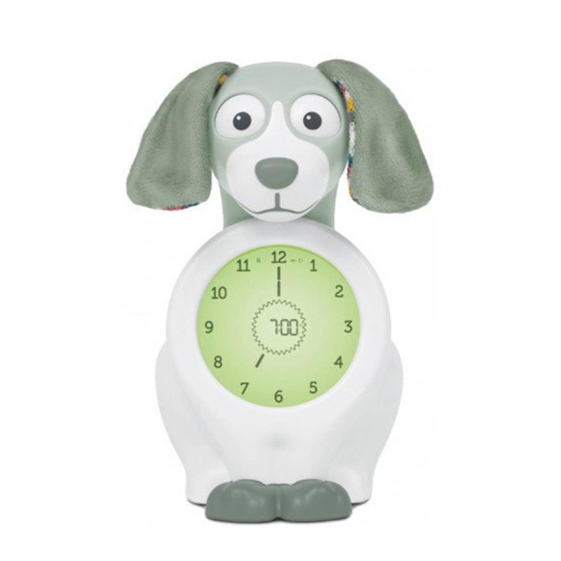 Zazu - Slaaptrainer dog, Davy Green