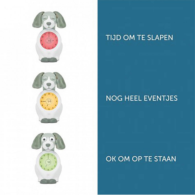 Zazu - Slaaptrainer dog, Davy Green