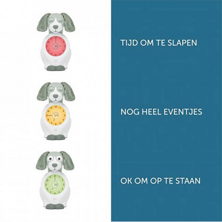 Zazu - Slaaptrainer dog, Davy Green