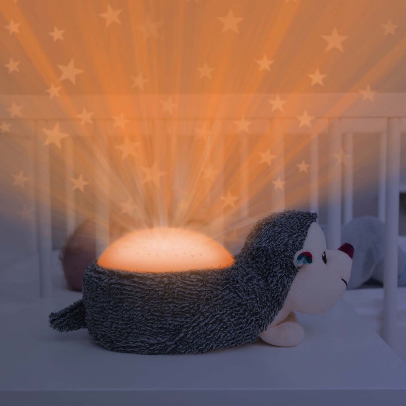 Zazu - Star projector, Harry de egel