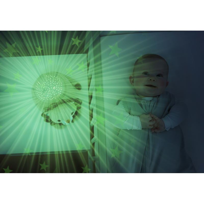 Zazu - Star projector, Leo de leeuw