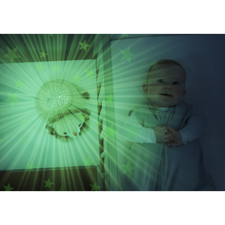 Zazu - Star projector, Leo de leeuw