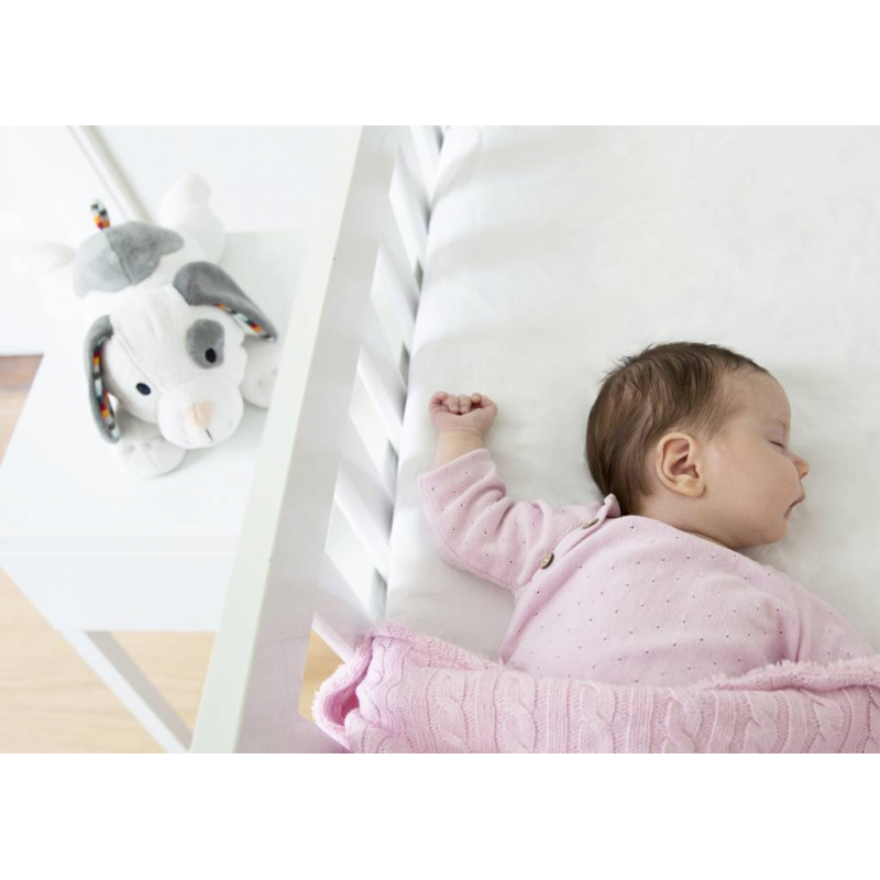 Zazu - Sleep soother, Dex de hond