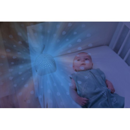 Zazu - Light projector, Wally de walvis grijs