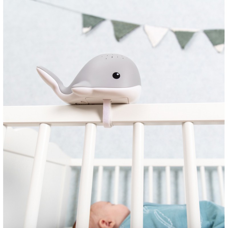 Zazu - Light projector, Wally de walvis grijs