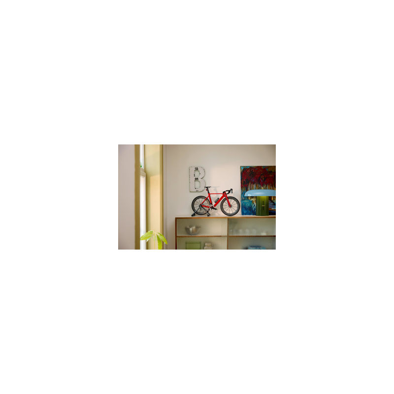LEGO Icons - 11380 Racefiets