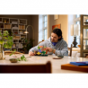 LEGO BOTANICALS - 11505 Bospaddenstoelen