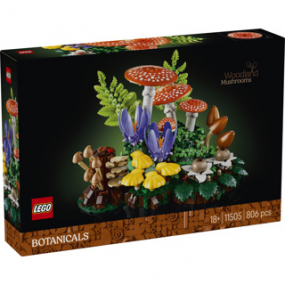 LEGO BOTANICALS - 11505 Bospaddenstoelen