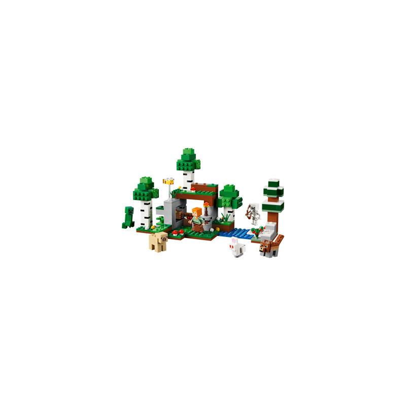 LEGO MINECRAFT - 21593 Eerste Nacht-Avontuur