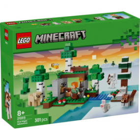 LEGO MINECRAFT - 21593 Eerste Nacht-Avontuur