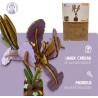 Iris, Houten 3D Puzzel, Inspirebox