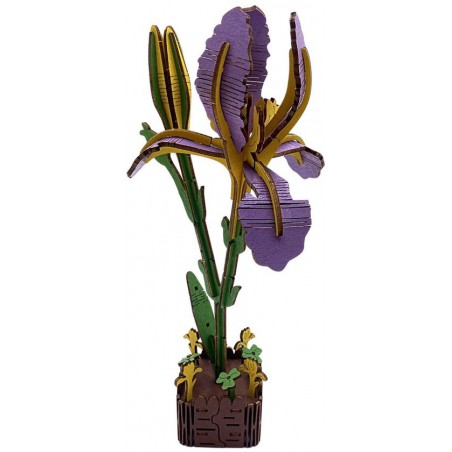 Iris, Houten 3D Puzzel, Inspirebox