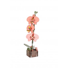 Butterfly Orchid, Houten 3D Puzzel, Inspirebox