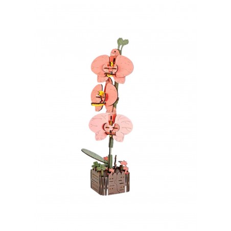 Butterfly Orchid, Houten 3D Puzzel, Inspirebox