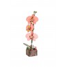 Butterfly Orchid, Houten 3D Puzzel, Inspirebox