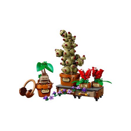 LEGO HARRY POTTER - 76474 Zweinstein kruidenkunde planten